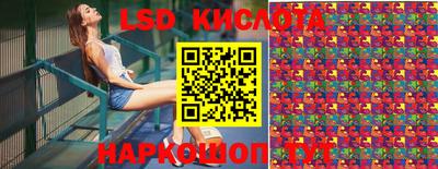 молекула духа Будённовск