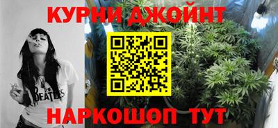 молекула духа Будённовск