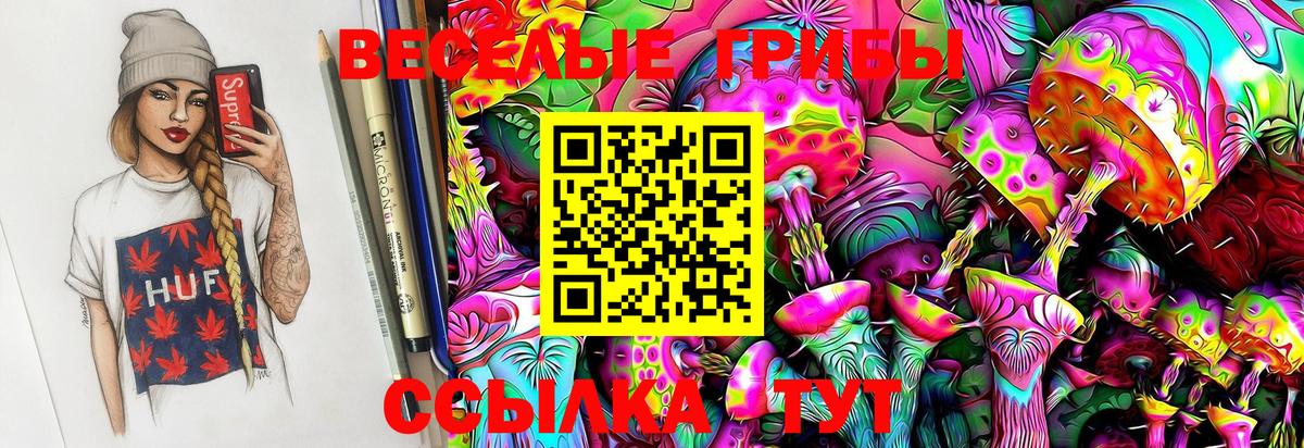 где купить наркотик  Вход с VPN  Геленджик  Галлюциногенные грибы GOLDEN TEACHER 