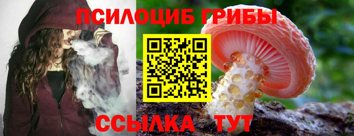 Псилоцибиновые грибы мицелий Геленджик