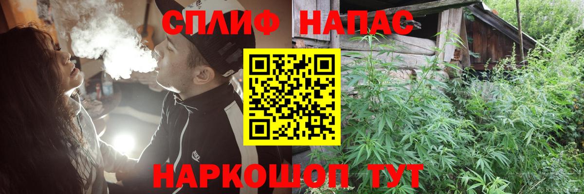 Конопля планчик Геленджик